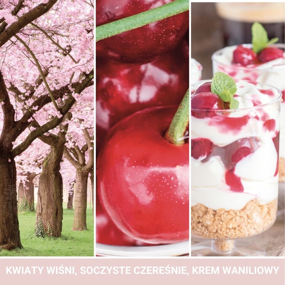 Mini Świeca Pink Cherry & Vanilla Yankee Candle |candleroom.pl