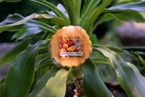 Wosk Mango Peach Salsa Yankee Candle |candleroom.pl