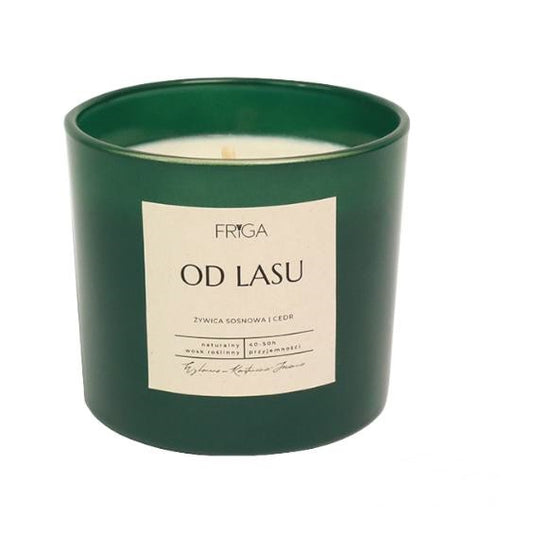 Candle From the Forest 220g